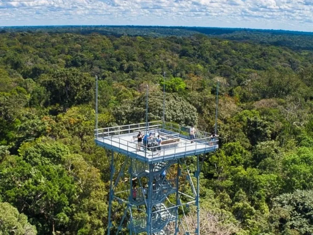 About a Experience - City Tour Inverno