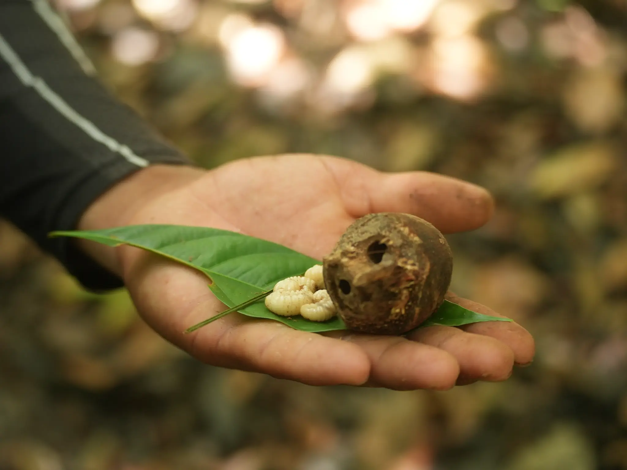 Recanto do Maçarico - Experiência na Amazônia
