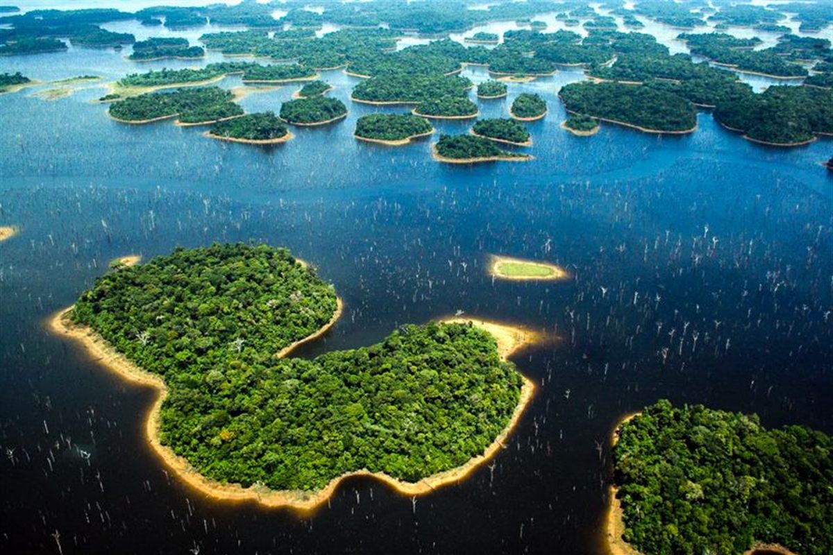 Vista aérea de ilhas de floresta cercadas pelas águas dos rios da Amazônia