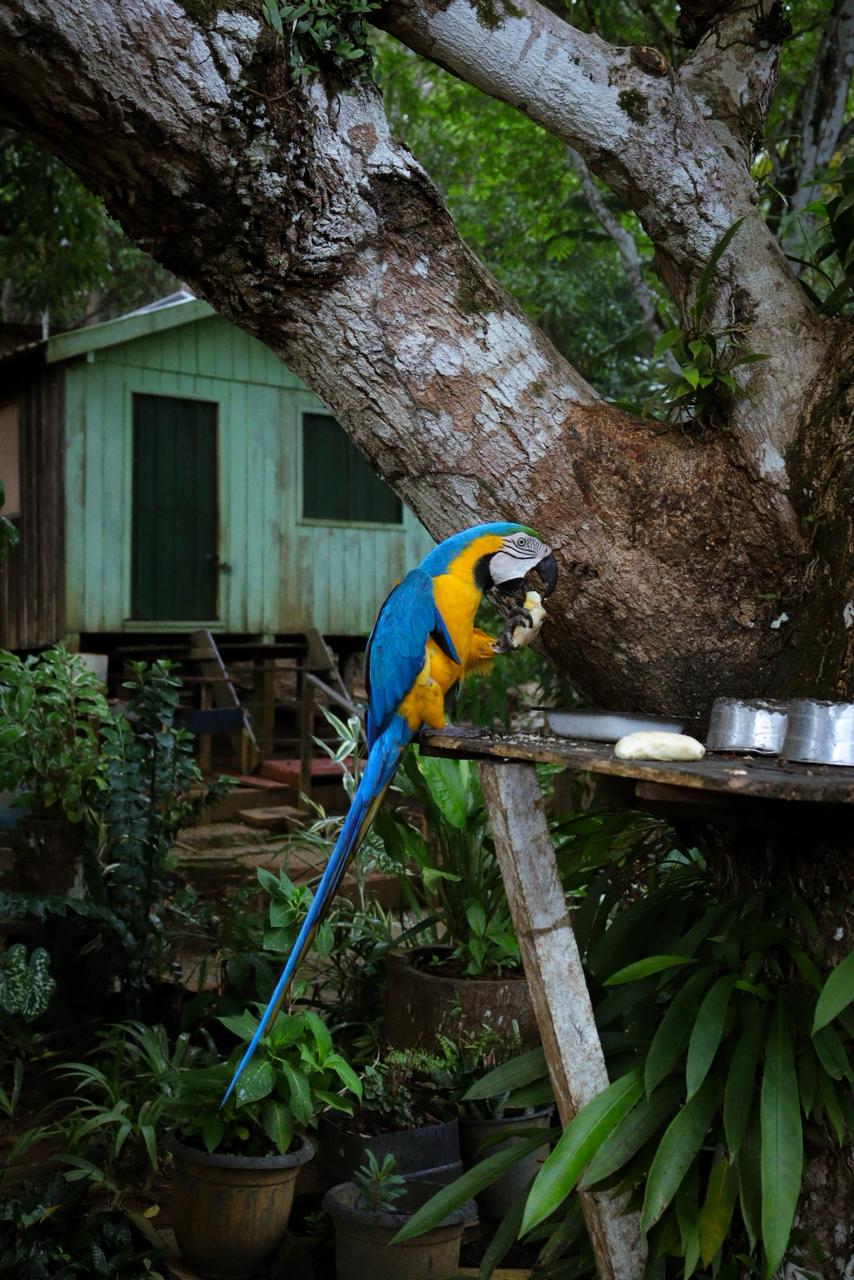 Fotos da expedição