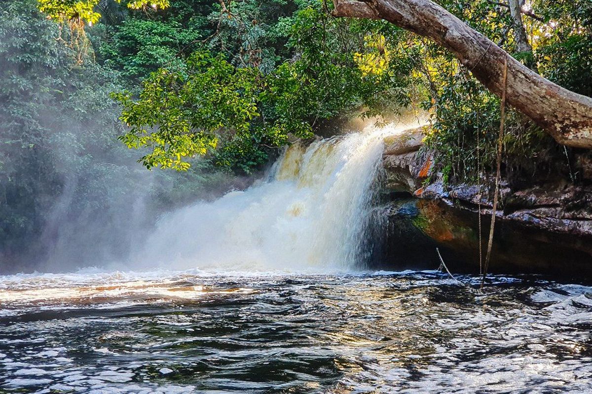 Cachoeira em meio à floresta iluminada pelo sol, em Presidente Figueiredo